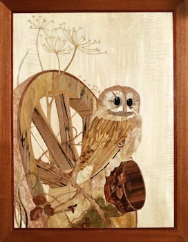 Tawny Owl