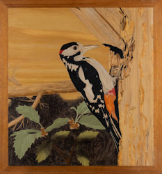 great_spotted_woodpecker