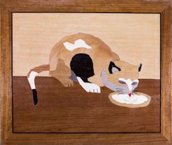 The Cat