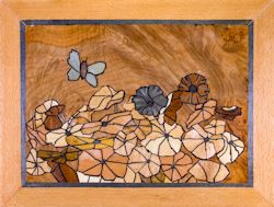 Nasturtium and Butterfly