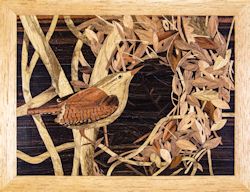 A Wren Picks His Best Nest