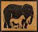 What do you see?.jpg