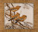 Waxwings.jpg