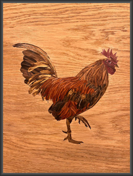 Cockerel