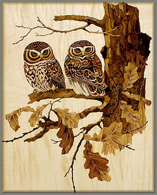 A pair of Owls