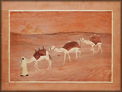 6_camel_train2